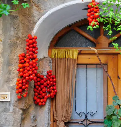 sakız adası kurban bayramı turu 2025