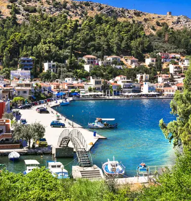 kuzey ada turu lagada